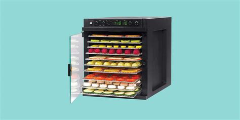 8 Best Food Dehydrators 2024, Tested & Reviewed .